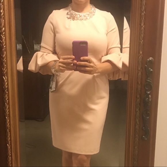 Betsy Adam pink dress bell sleeve pencil zipper 10 - Picture 8 of 9